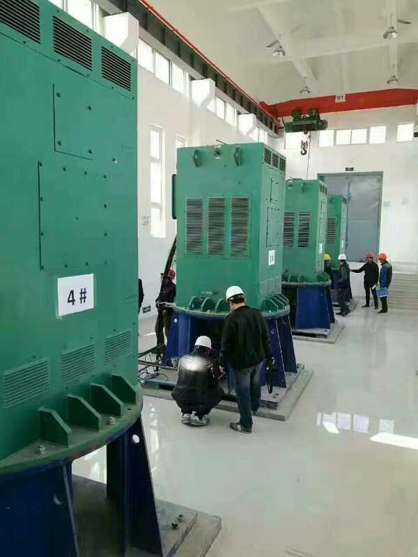 睢阳某污水处理厂使用我厂的立式高压电机安装现场生产厂家